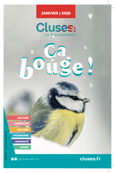 Laurent MEREAUX - Artiste photographe