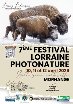 Laurent MEREAUX - Artiste photographe