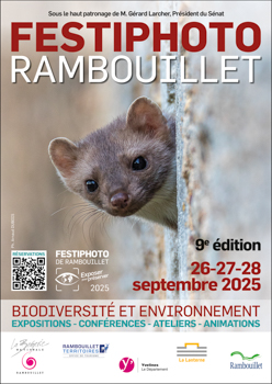 Laurent MEREAUX - Artiste photographe